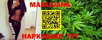 гидра Дубна
